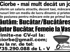 6 Ciorbe angajeaza ajutor bucatar!
