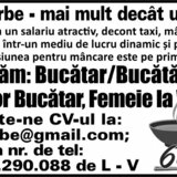 6 Ciorbe angajeaza ajutor bucatar!